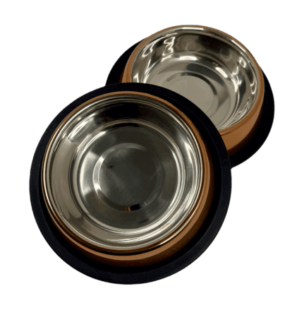 Elevated Pet Dinner Set 2531